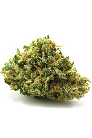 Cherry Pie Cannabis Strain