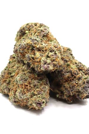 Purple Kush Marijuana Strain