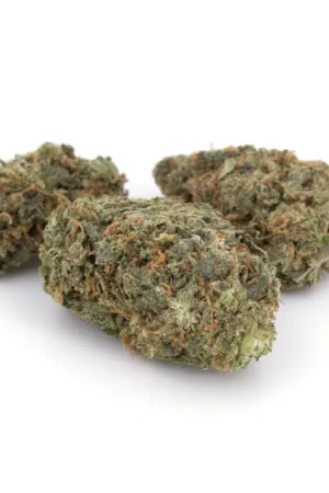 Sensi Star Weed Strain