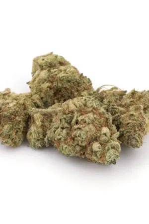 Violator Kush Cannabis Strain