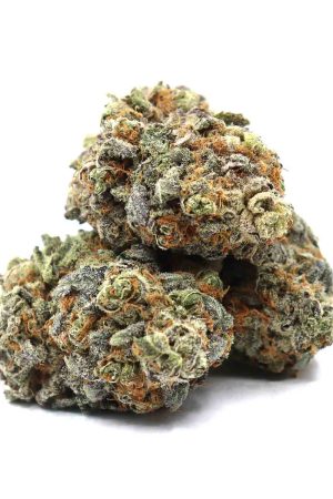 Purple Gelato Weed Strain