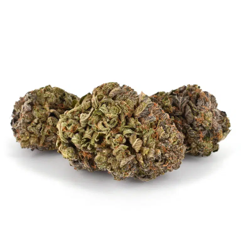 Purple Urkle Marijuana Strain