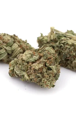 MK Ultra Marijuana Strain