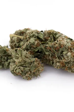Master Kush Cannabis Strain