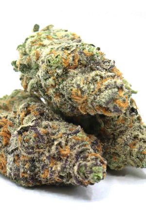 Mango Crush Weed Strain