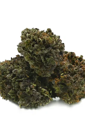 Pinkman Goo Weed Strain
