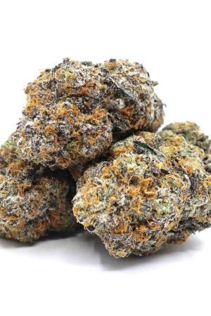 Purple Chemdawg Marijuana
