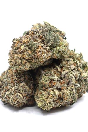 Runtz Cannabis Strain