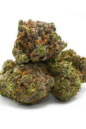 El Chapo Marijuana Strain