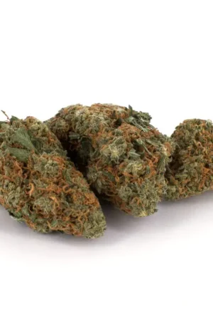 Northern Lights Weed Strain