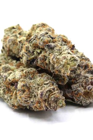 Goudaberry Marijuana Strain