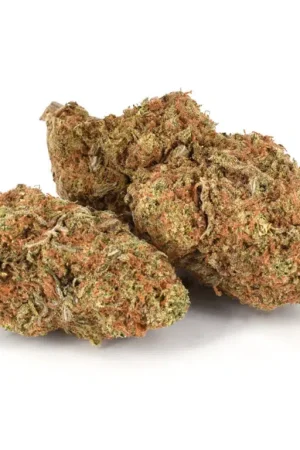 Indica Weed Strain