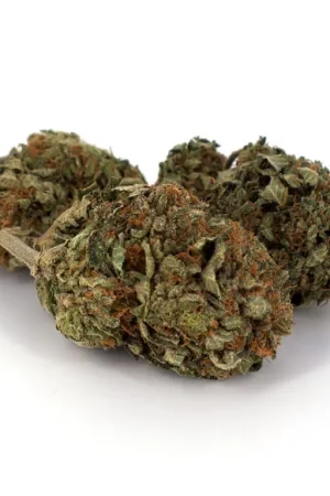 Chemo Marijuana Strain