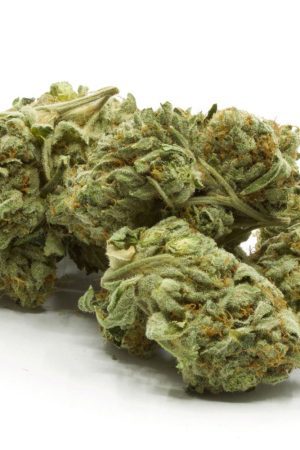 Frosty Gas Marijuana Strain