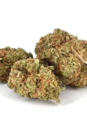 Sherbert Marijuana Strain