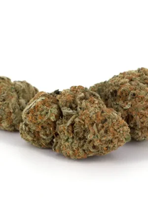 Sugar Cookie Cannabis Strain