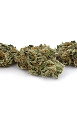 Crazy Glue Weed Strain