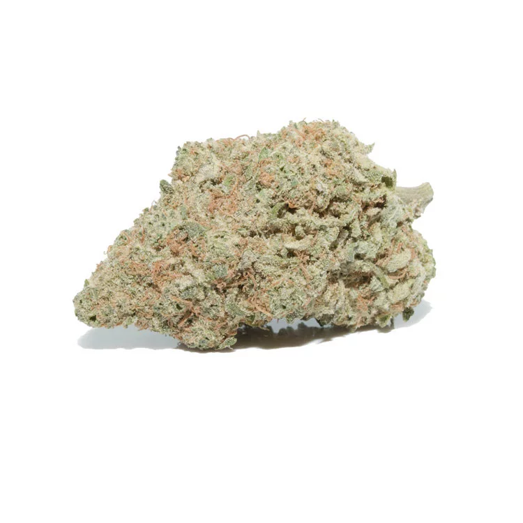 Jamaican haze Weed Strain