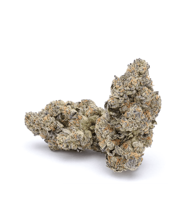 Ice cream Weed Strain
