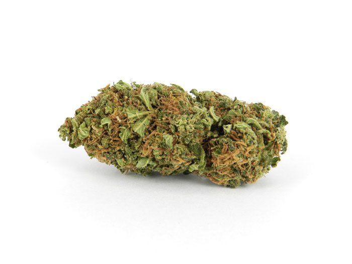 Sunkiss Weed Strain