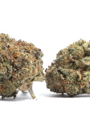 Sugar Cookie Weed Strain