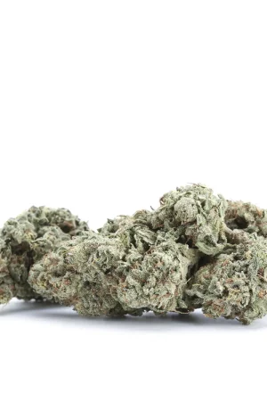 Goji DC Cannabis Strain