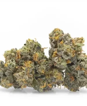 Hindu Kush Weed Strain