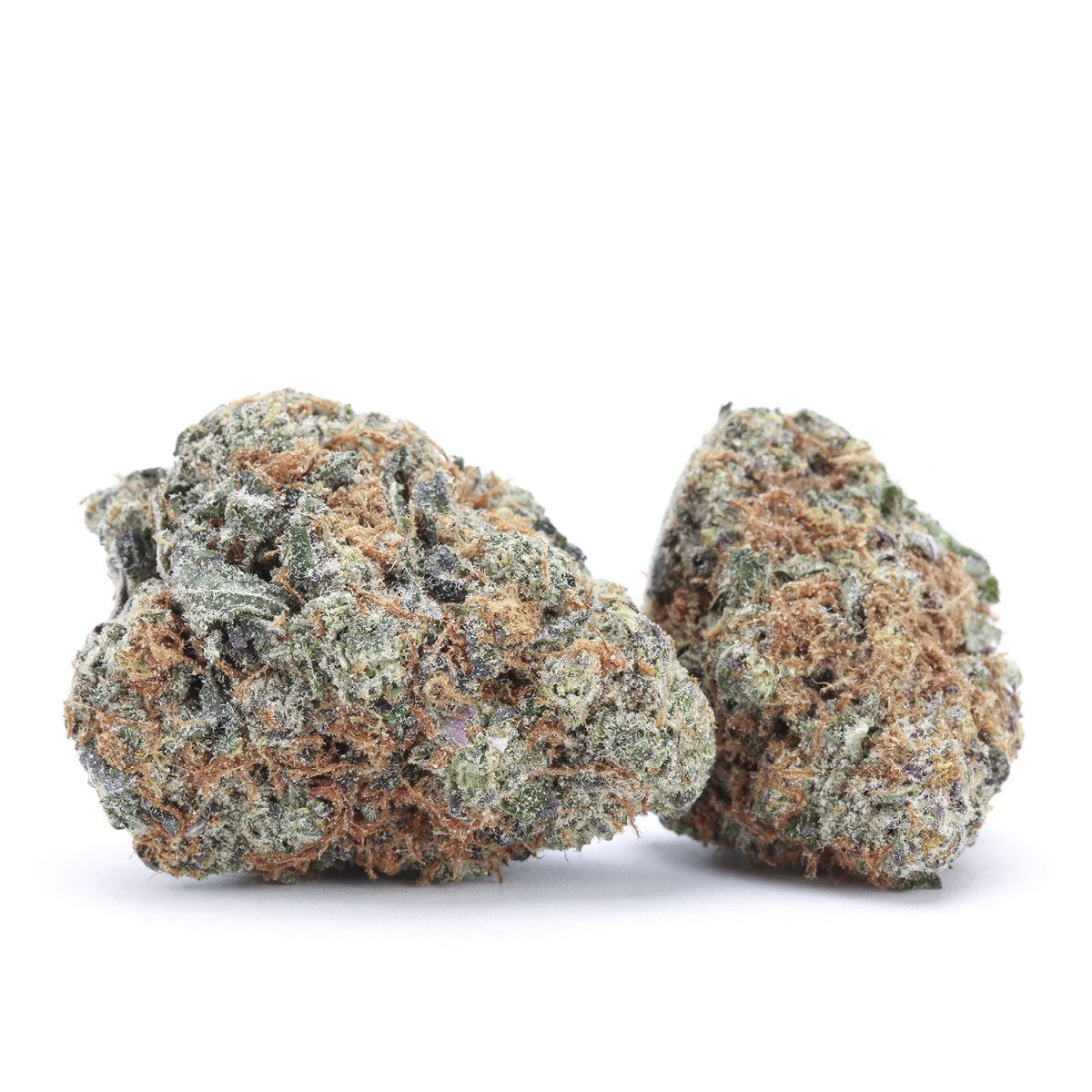 Crescendo Marijuana Strain