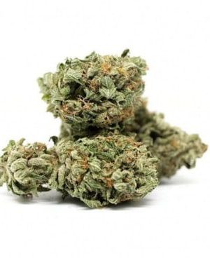 Agent Orange Weed Strain