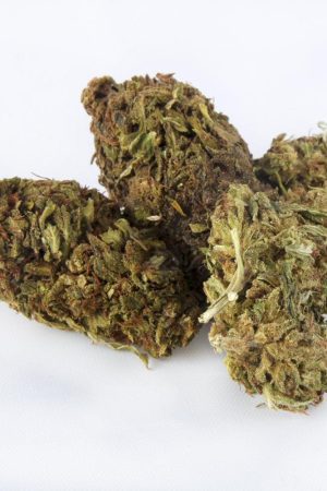 BOAX Marijuana Strain