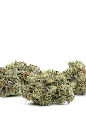 Pink Star Killer Marijuana