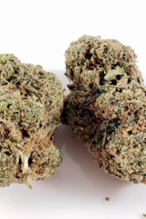 Orange Cookies