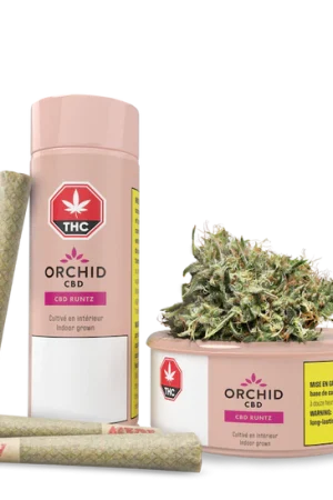 CBD Runtz Pre-roll Joint