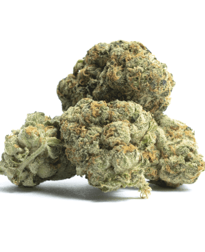 Citrus Rush Marijuana Strain