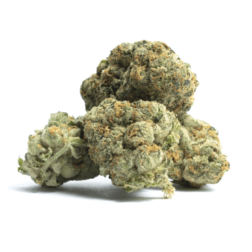 Citrus Rush Marijuana Strain