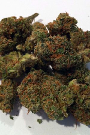 Harlequin OG Marijuana Strain
