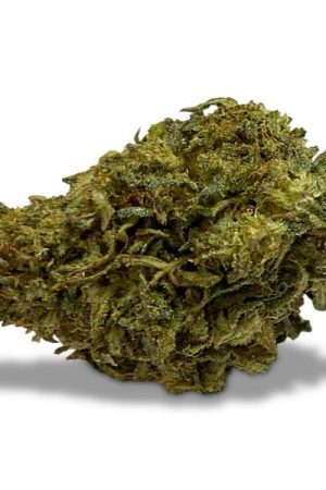 Delta 8 Flower Mountain Mango