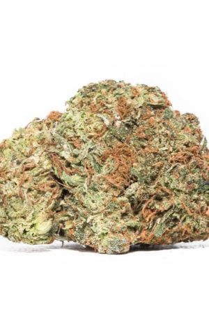 Jilly Bean Marijuana Strain