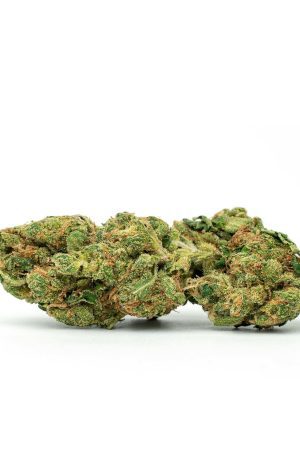 Alpha Dawg Marijuana Strain
