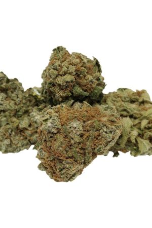 Olympic Chocolate Chunk Marijuana