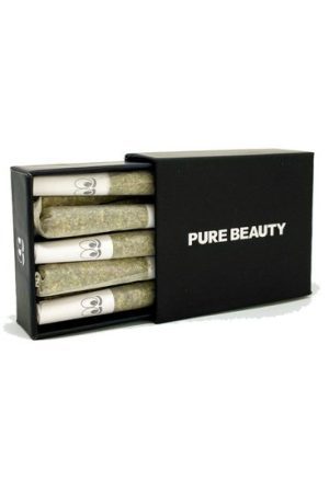 Black Box Pre-Roll Pack