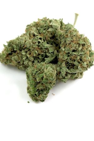Love Potion #1 Marijuana Strain