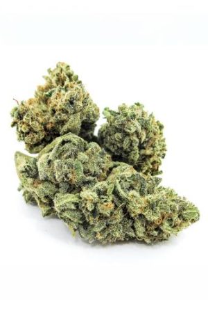 Exodus Kush Marijuana Strain