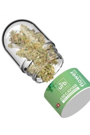 Delta 10 THC Caviar Flower Mint Cookies