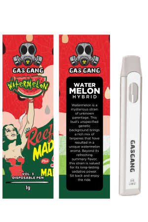 Gas Gang – Watermelon Disposable Pen
